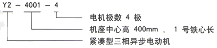 YR系列(H355-1000)高压YRKK7101-6三相异步电机西安西玛电机型号说明